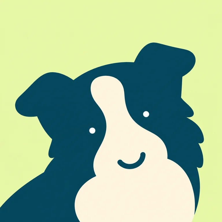 Border Collie Dog