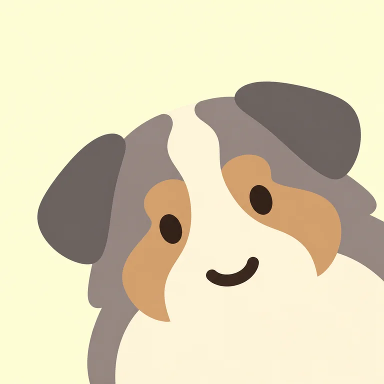 Australian Shepherd Dog