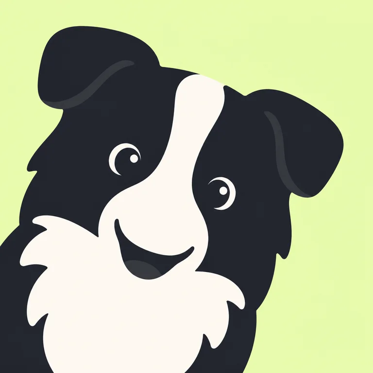 Border Collie Dog