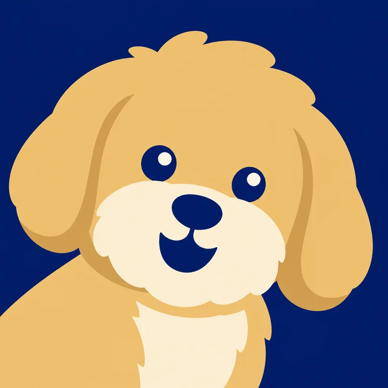 Havanese Dog
