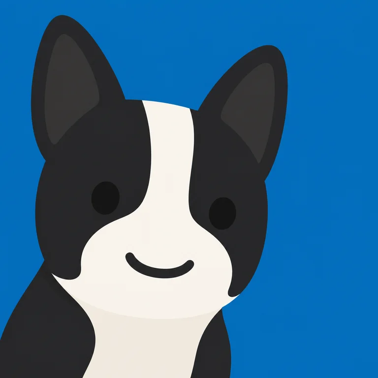 Boston Terrier