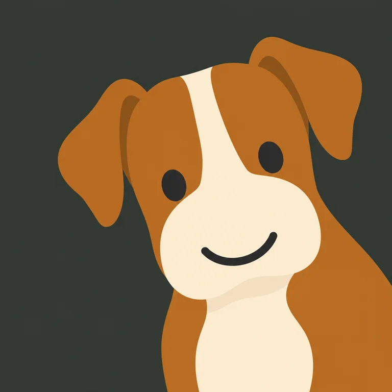 Boxer
