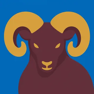 Ram