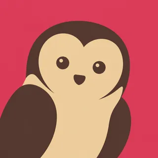 Barn Owl