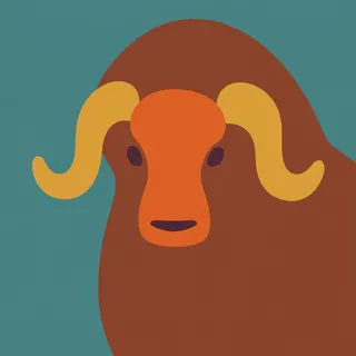 Musk Ox