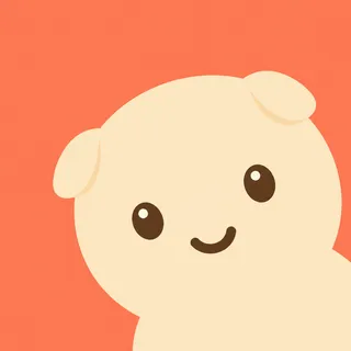 Scottish Fold Cat
