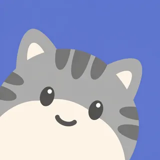 American Shorthair Cat