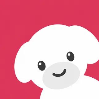 Maltese Dog