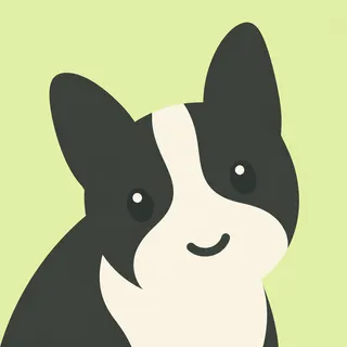 Boston Terrier Dog