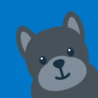 Cane Corso Dog