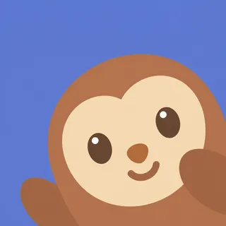 Round Face Owl