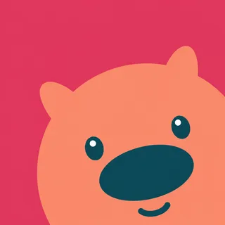 Pig Round Face
