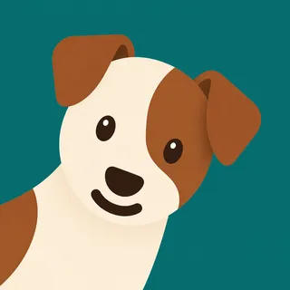 Jack Russell Terrier