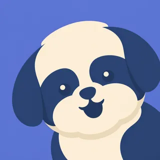 Shih Tzu Dog