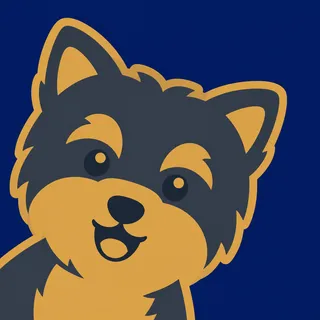 Yorkshire Terrier Dog