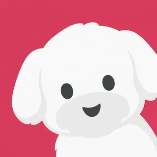 Maltese Dog