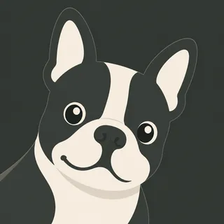 Boston Terrier Dog