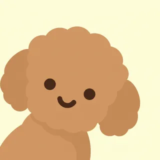 Toy Poodle