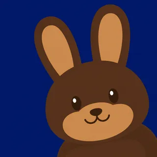 Chocolate Brown Bunny