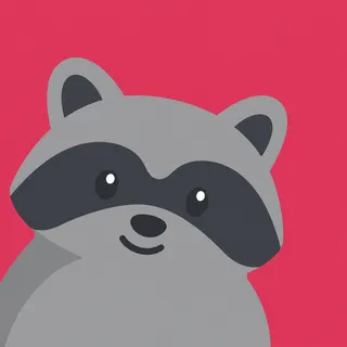 Classic Gray Raccoon