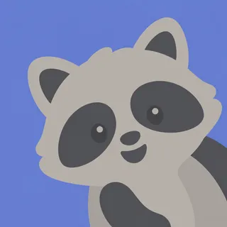 Soft Mask Raccoon