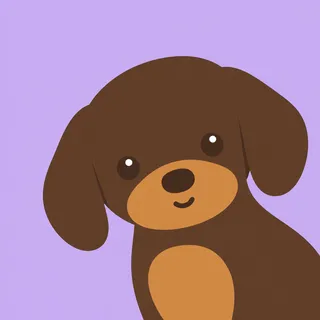 Dachshund Puppy