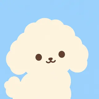 Poodle Puppy