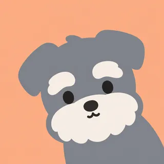 Schnauzer Puppy