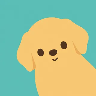 Golden Retriever Puppy
