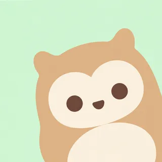 Baby Owl