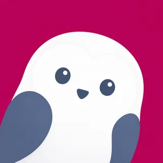 Snowy Owl